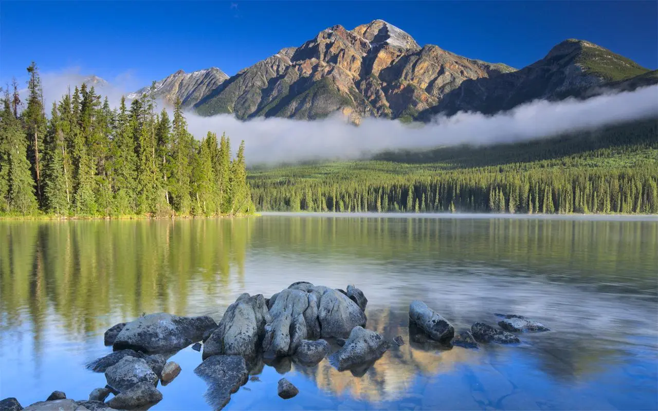 智慧制造网络化智慧制造